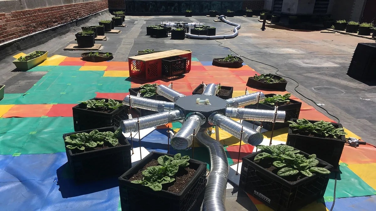 The BIG GRO system on the roof at Boston University. Picture by Dr. Sarabeth Buckley, published via Interesting Engineering.