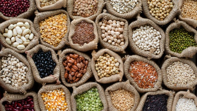 Win-Win Eating: Sustainable Food Is Cheaper