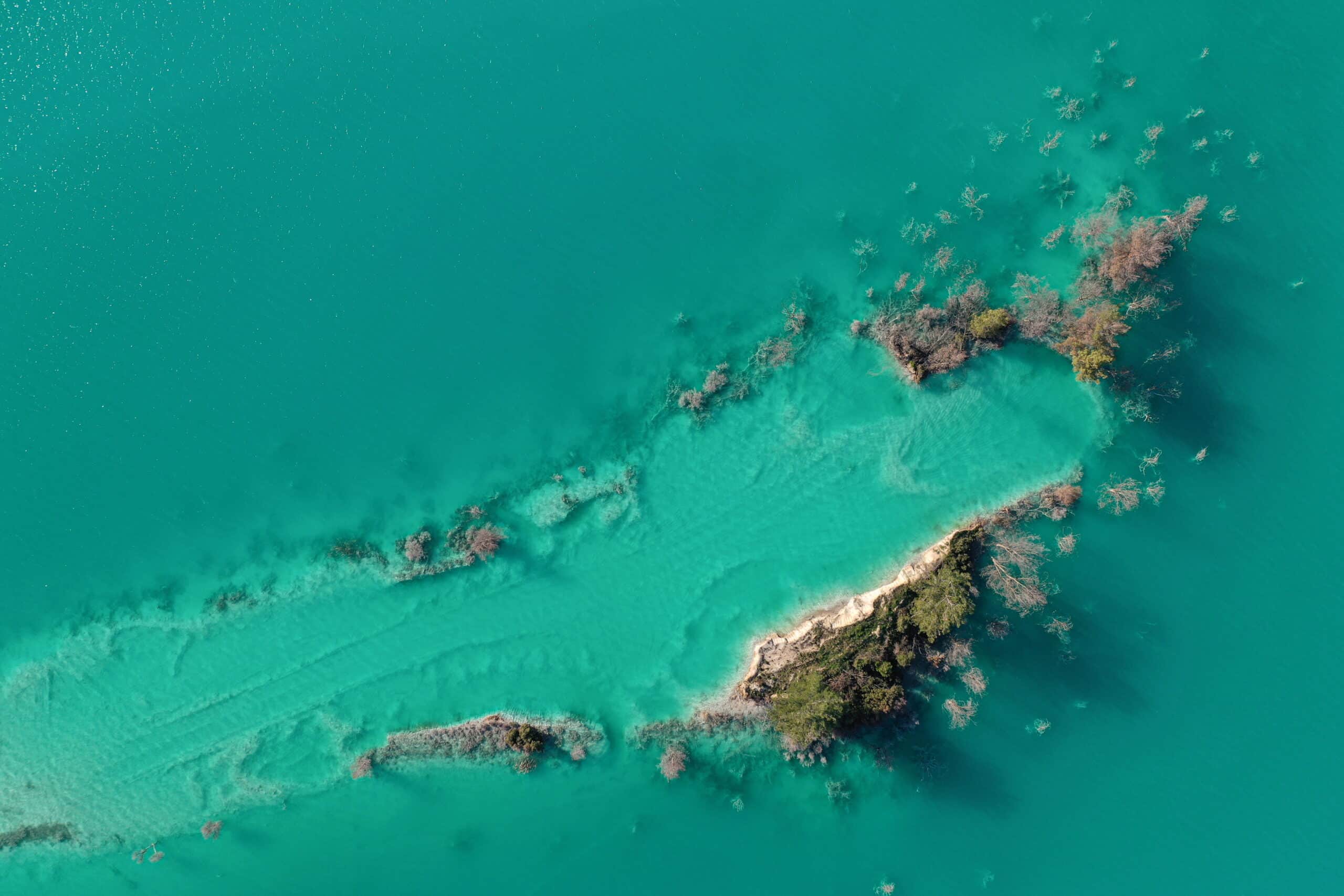 Rotten trees in a toxic lake near southwestern town of Yatagan in Mugla province, Turkey. The toxic lake, known as an ash dam, is created by a mix of waste water and polluted ash which are produced at the nearby Yatagan power station. REUTERS/Umit Bektas