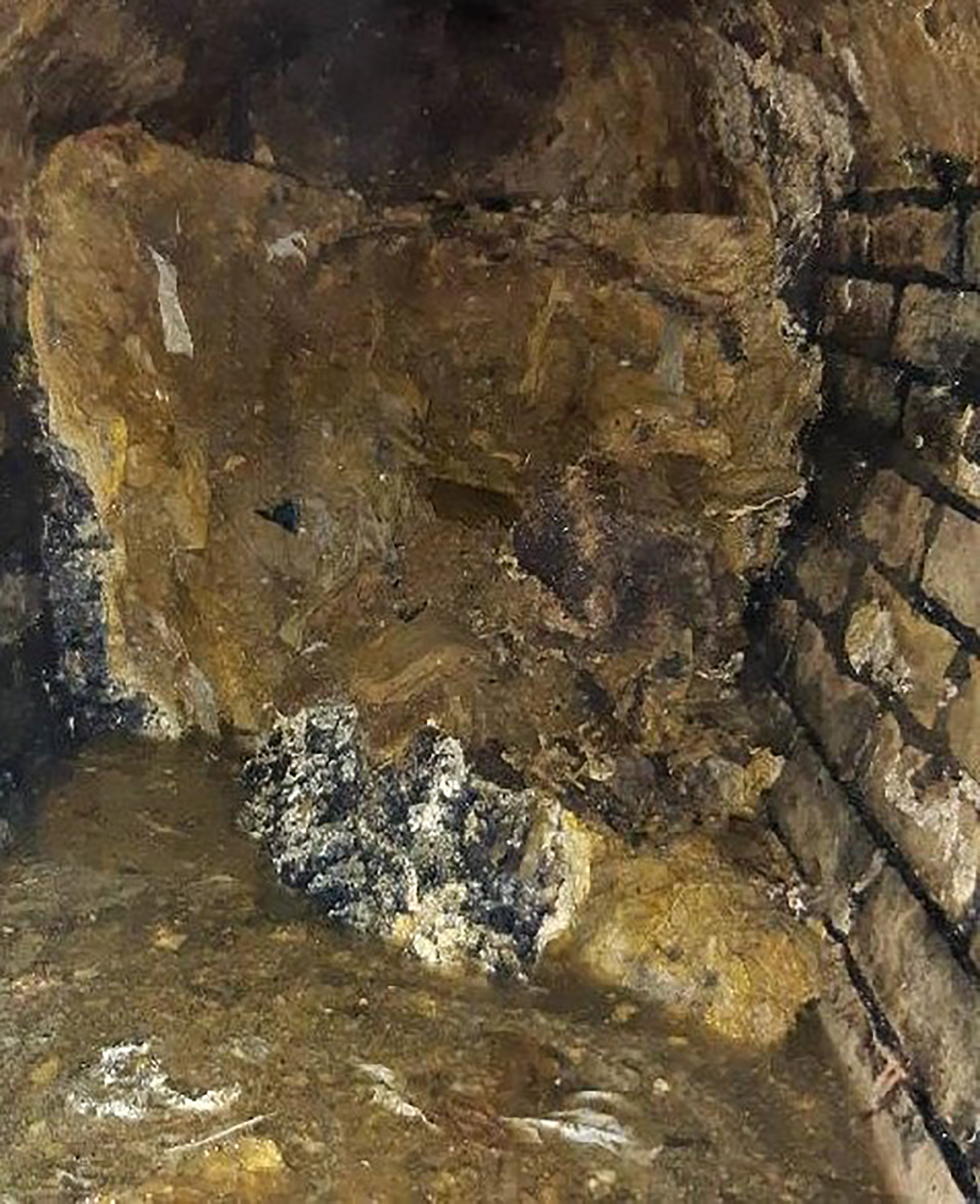 A 'fatberg' weighing more than an African elephant in a central London trunk sewer. The disgusting 10-tonne mass of fat, grease and other “unflushable” items like wet wipes was hauled out from the sewer in Cadogan Place, Belgravia.