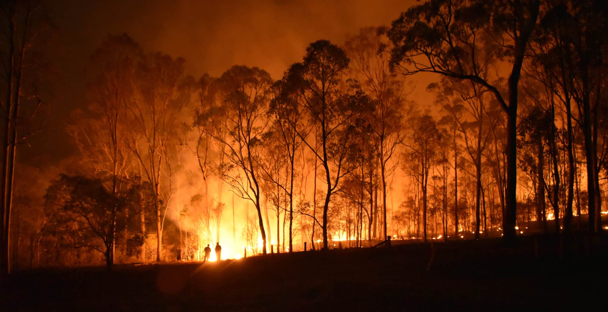 RESET View On Responsibility For Tackling Climate Change