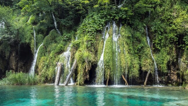 Nature Should Be An Economic Asset