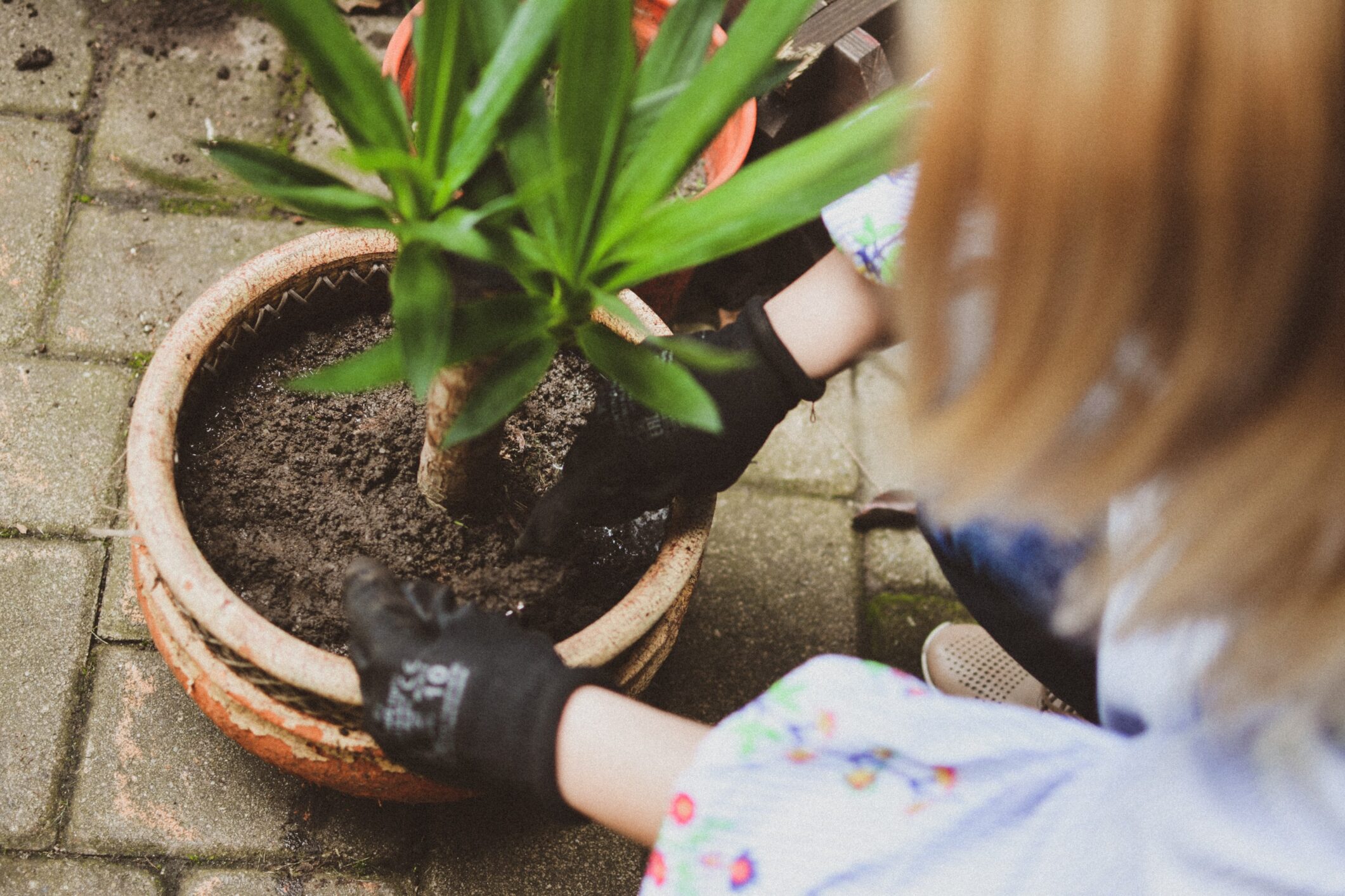 Gardening has been shown to be beneficial to mental health.