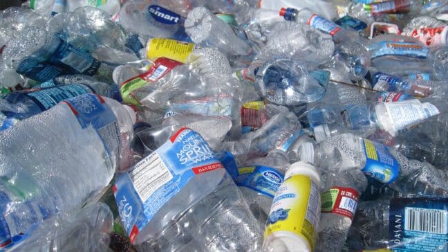 Over Half Of Adults Don’t Understand Common Recycling Symbols